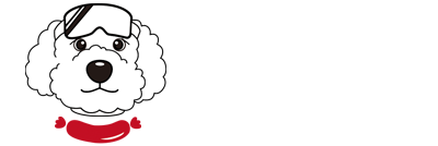 지산리조트 스키강습&보드강습 스노우독
